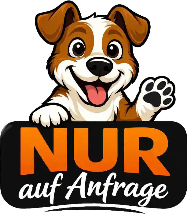 Premiumhaus im Feriendorf Wasserkuppe 9 Hunde nur auf Anfrage